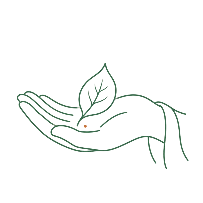 仏教の一番大切な考え方のイメージイラスト